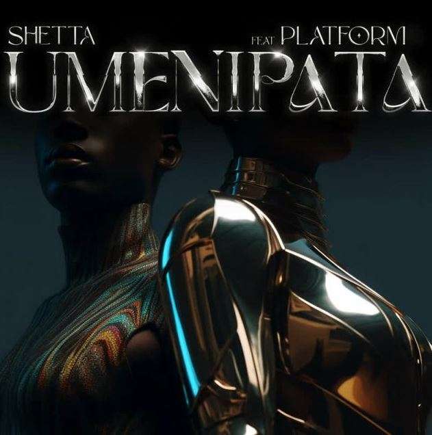 Download Shetta Ft Platform - Umenipata