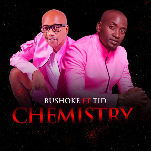 Bushoke Ft TID Chemistry